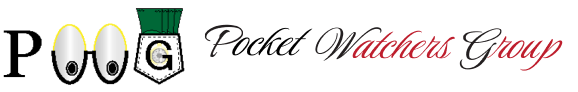 Watchers Group logo with eye illustration